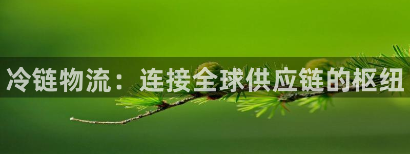 fh至尊是黑台子吗