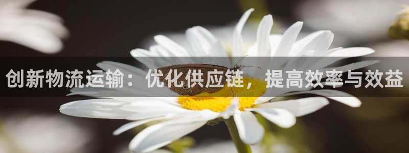 fh至尊app下载安装