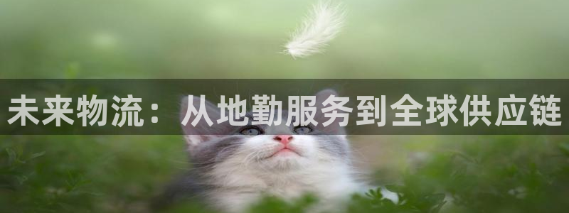 fh至尊平台安全密码忘记了