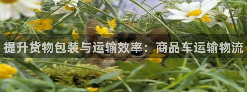 fh至尊注册码怎么获取
