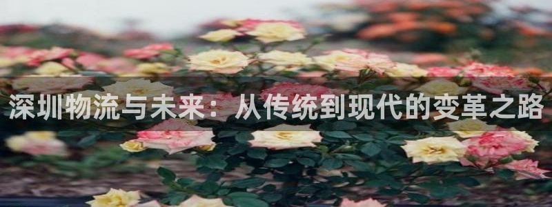 FH凤凰至尊娱乐