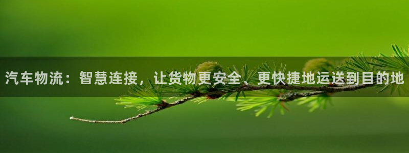 fh至尊假不假