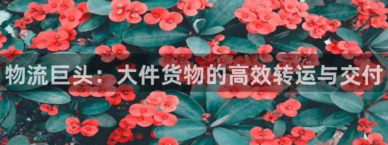 FH至尊版地址