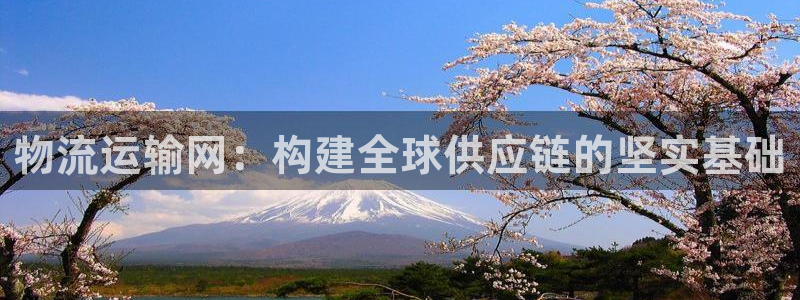 FH至尊隶属哪家公司