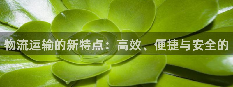 fh 至尊