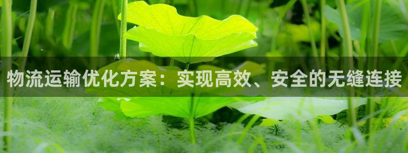 fh至尊手机端进不去